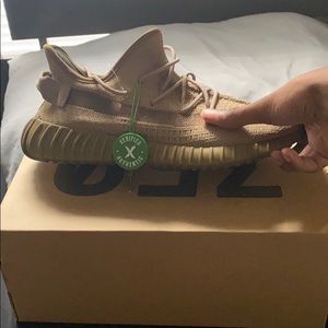 Yeezy boost 350 v2 earth